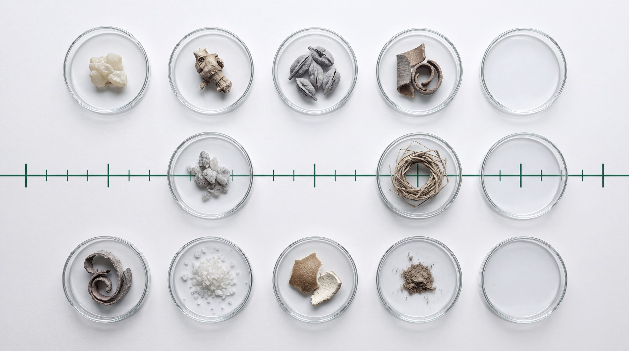 Maison Aubert brand identity, perfumery, image 7